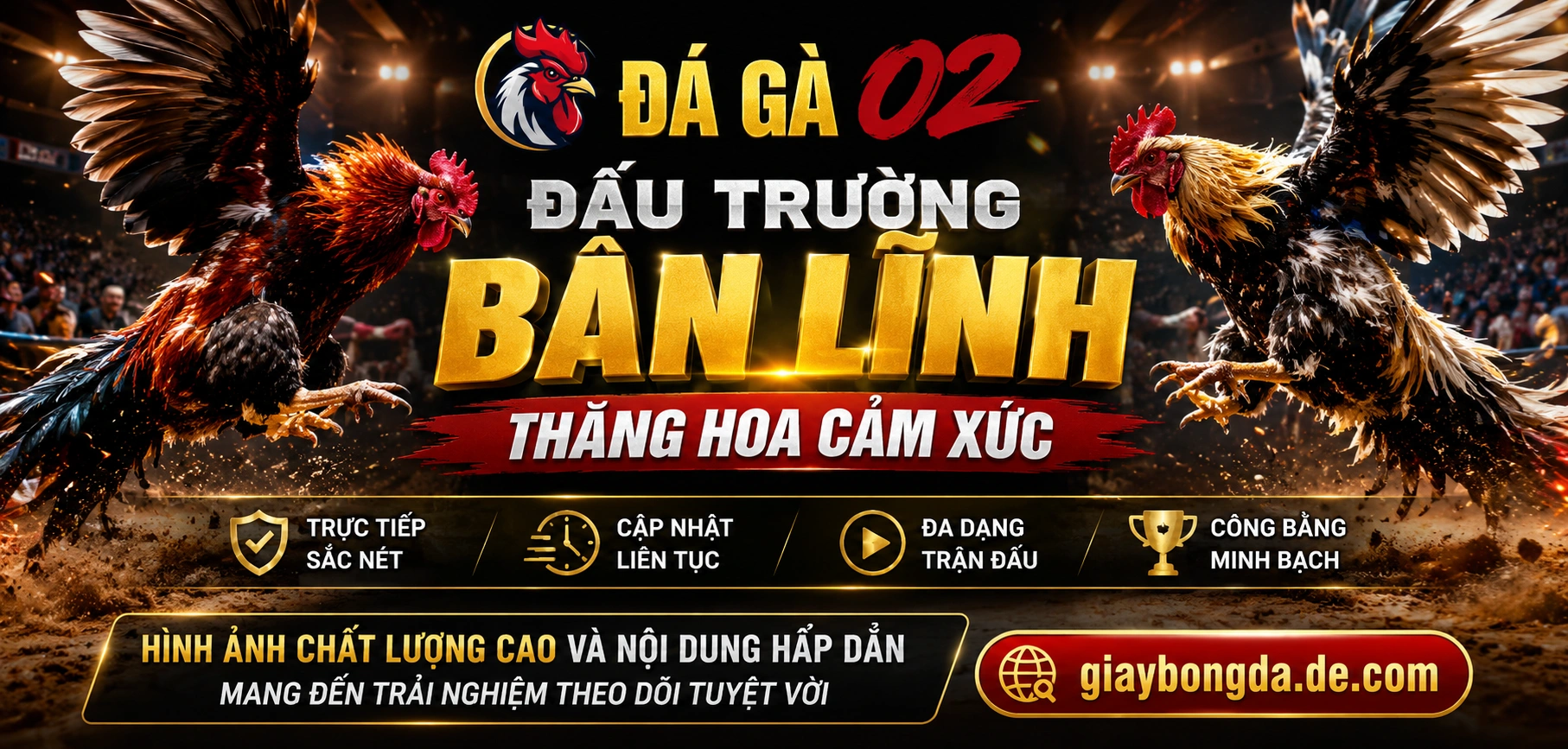 Theo dõi kèo đá gà và bảng tỷ lệ theo thời gian thực